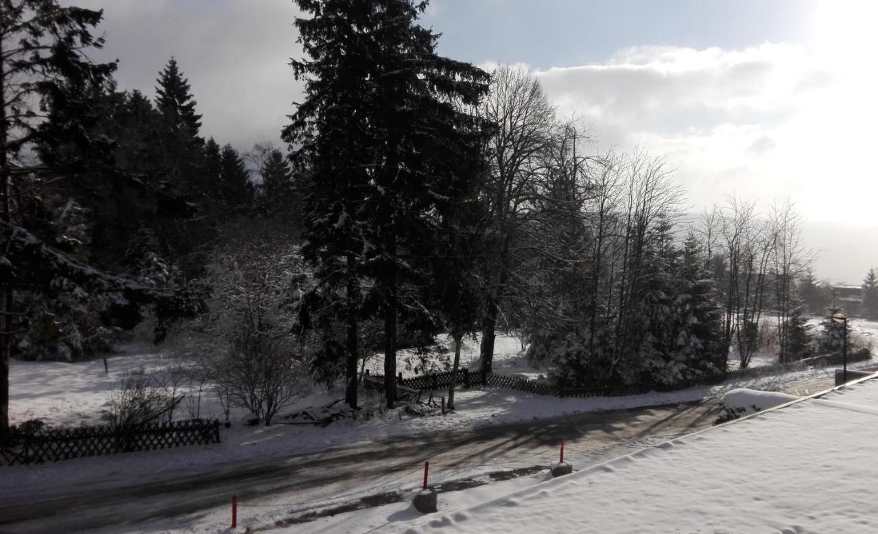 Fichtenweg 54 Winterberg Exteriör bild