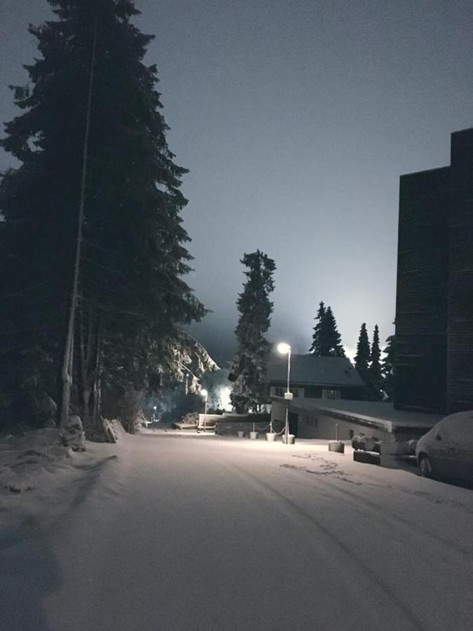 Fichtenweg 54 Winterberg Exteriör bild