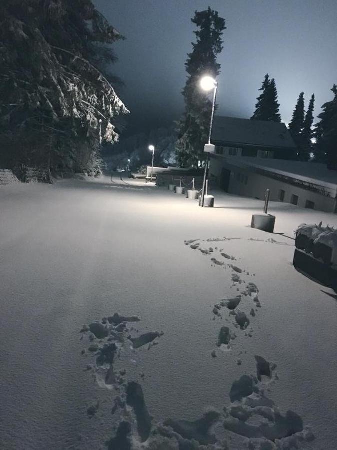 Fichtenweg 54 Winterberg Exteriör bild